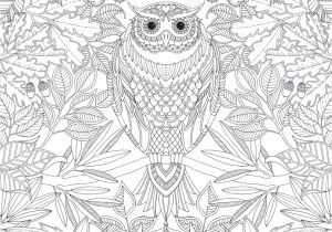 Coloriage Difficile Pour Adulte Coloriages Difficiles Pour Adultes Coloriages Pour Enfants