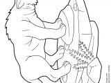 Coloriage Dinosaure Carnivore A Colorier Le Dangereux Dinosaure Tigre Aux Dents De Sabre