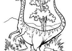 Coloriage Dinosaure Carnivore A Colorier Le Dangereux Dinosaure Tigre Aux Dents De Sabre Coloriage Dinosaure Carnivore A Colorier Le Dangereux Dinosaure Tigre Aux Dents De Sabre