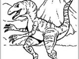 Coloriage Dinosaure Carnivore A Colorier Le Dangereux Dinosaure Tigre Aux Dents De Sabre