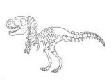 Coloriage Dinosaure Carnivore Coloriage De Fossiles De Dinosaures Squelette De Triceraptor