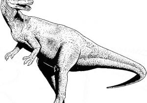 Coloriage Dinosaure Tyrannosaure Coloriage Dinosaure Les Beaux Dessins De Animaux   Imprimer Et