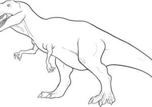 Coloriage Dinosaure Tyrannosaure Free Drawing Patterns to Trace Drawings I Like