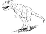 Coloriage Dinosaure Tyrannosaure How to Draw Dinosaurs