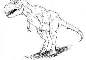 Coloriage Dinosaure Tyrannosaure How to Draw Dinosaurs