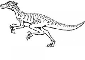 Coloriage Dinosaure Velociraptor Coloriage Dinosaure Velociraptor