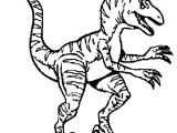 Coloriage Dinosaure Velociraptor Coloriage Dinosaure Velociraptor