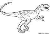 Coloriage Dinosaure Velociraptor Spinosaurus Coloring Pages Hellokids