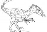 Coloriage Dinosaure Velociraptor Velociraptor Coloring Pages