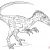 Coloriage Dinosaure Velociraptor Velociraptor Coloring Pages