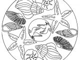 Coloriage Divers A Imprimer Gratuit Coloriage Mandala Coquilles Dessin Gratuit à Imprimer