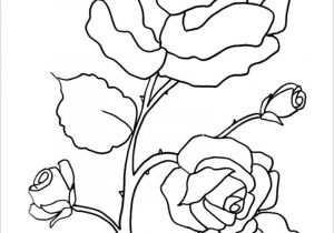 Coloriage Divers A Imprimer Gratuit Coloriages Divers Fleurs