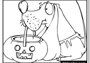Coloriage Dora Halloween A Imprimer ð¨ Chien Detient Le Panier Citrouille Halloween 1 Des