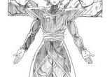 Coloriage Dragon Ball Super Zamasu 60 Best Goku Black & Zamasu Images