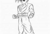 Coloriage Dragon Ball Z Sangoku Super Sayen 100 Coloriage Dragon Ball Z Sangoku Super Sayen 100 Tranquille
