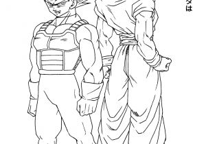 Coloriage Dragon Ball Z Sangoku Super Sayen 3 Dragon Ball Z Ve A Pics Google Search Goku