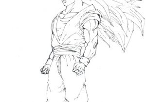 Coloriage Dragon Ball Z Sangoku Super Sayen 4 Coloriage Dragon Ball Z Sangoku Super Sayen 5