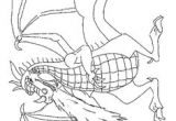 Coloriage Dragon Qui Crache Du Feu 46 Meilleures Images Du Tableau Coloriage
