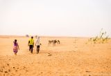 Coloriage Dromadaire Dans Le Désert Mauritanie O & John Photographers