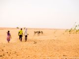 Coloriage Dromadaire Dans Le Désert Mauritanie O & John Photographers