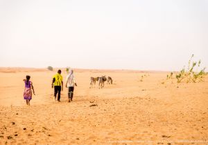 Coloriage Dromadaire Dans Le Désert Mauritanie O & John Photographers