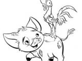 Coloriage Du Cochon De Vaiana Coloriages Gratuits   Imprimer Vaiana Et Maui