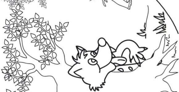 Coloriage Du Petit Chaperon Rouge Le Loup Guette Le Petit Chaperon Rouge Coloriages Du Petit