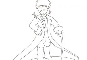 Coloriage Du Petit Prince 143 Best Petit Prince Images On Pinterest