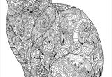 Coloriage Dur De Chat Coloriage Adulte A Imprimer Maison Design Apsip