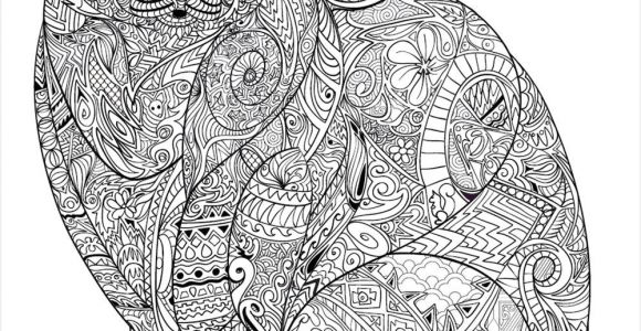Coloriage Dur De Chat Coloriage Adulte A Imprimer Maison Design Apsip