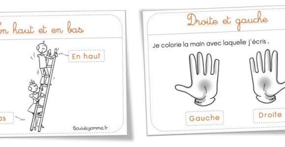 Coloriage En Haut En Bas Leçon Géométrie Gauche Et Droite En Haut Et En Bas