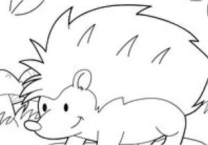 Coloriage En Ligne Animaux De La Mer Coloriage Animaux De La Mer En Ligne 52 Best Coloriages