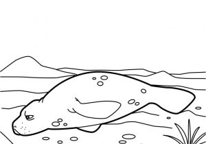 Coloriage En Ligne Animaux De La Mer Coloriage En Ligne Animaux De La Mer