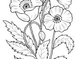 Coloriage En Ligne Fleur Coloriage Fleur— Coloriage A Imprimer