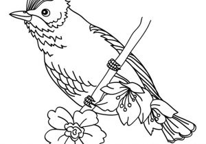 Coloriage En Ligne Oiseau 20 Dessins De Coloriage Oiseau En Ligne à Imprimer
