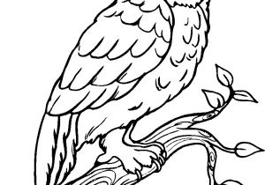 Coloriage En Ligne Oiseau Oiseaux 4 Coloriage D Oiseaux Coloriages Pour Enfants