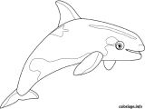 Coloriage En Ligne orque Coloriage orque Dessin