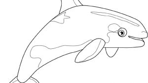 Coloriage En Ligne orque Coloriage orque Dessin