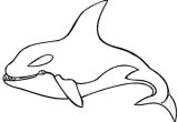 Coloriage En Ligne orque Coloriage orque Et Dauphin 1001 Animaux Coloriage orque Et Dauphin