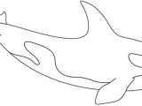 Coloriage En Ligne orque Dessin   Colorier Un orque Turbulus Jeux Pour Enfants