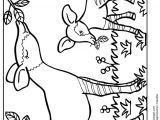 Coloriage Enfant 7 Ans 77 Best Coloriages De Bébés Animaux Images On Pinterest