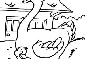 Coloriage-enfants.com Dessin De Canard   Colorier Pour Les Enfants