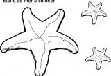Coloriage Etoile De Mer A Imprimer Coloriage Etoile De Mer Gratuit à Imprimer Et Colorier