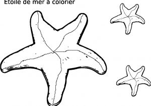 Coloriage Etoile De Mer A Imprimer Coloriage Etoile De Mer Gratuit à Imprimer Et Colorier