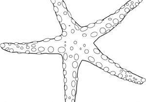 Coloriage Etoile De Mer A Imprimer Étoile De Mer Animaux – Coloriages à Imprimer
