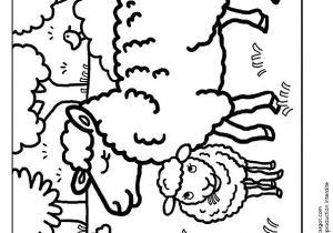 Coloriage F1 77 Best Coloriages De Bébés Animaux Images On Pinterest