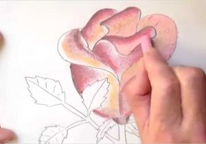 Coloriage Facile à Faire Dessin Facile Fleur Exotique