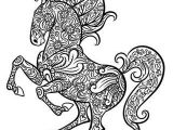 Coloriage Fée Clochette Et Ses Amies 53 Best Dessin Pour Enfant Images On Pinterest
