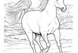 Coloriage Fer A Cheval Coloriage Chevaux