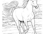 Coloriage Fer A Cheval Coloriage Chevaux
